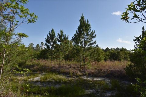 Terrain à vendre à Fort MC Coy, Floride № 2214225 - photo 28