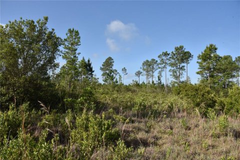 Terrain à vendre à Fort MC Coy, Floride № 2214225 - photo 20