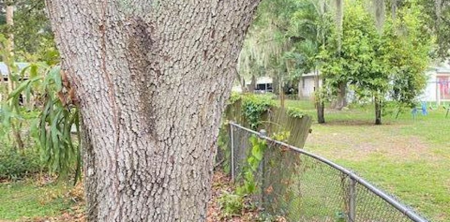 House in Okeechobee, Florida 5 bedrooms, 156.08 sq.m. № 1189841