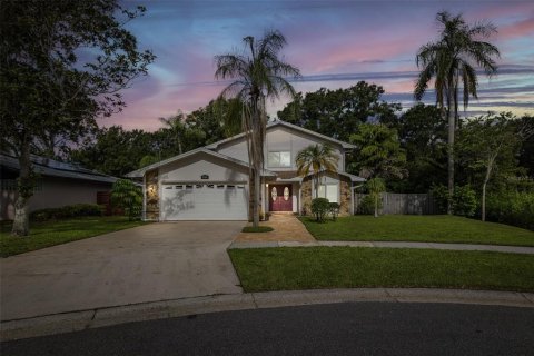 House in Clearwater, Florida 5 bedrooms, 232.63 sq.m. № 1855762 - photo 1