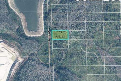 Land in Orlando, Florida № 2218732 - photo 2