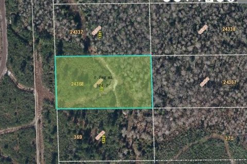Terreno en Orlando, Florida № 2218732