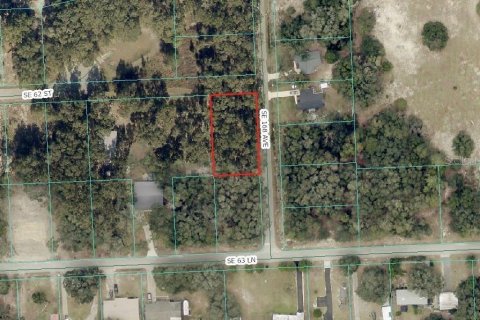 Land in Ocklawaha, Florida № 2388219