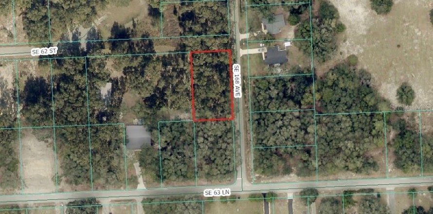 Land in Ocklawaha, Florida № 2388219