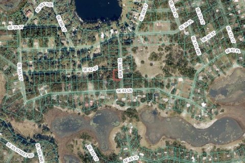 Land in Ocklawaha, Florida № 2388219 - photo 2
