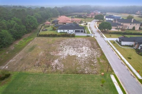 Land in Lakeland, Florida № 1593151 - photo 6