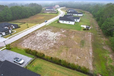 Land in Lakeland, Florida № 1593151 - photo 10