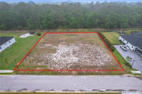 Land in Lakeland, Florida № 1593151 - photo 2