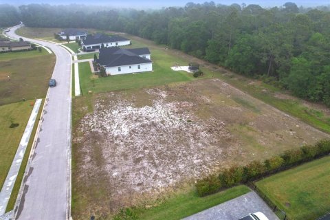 Land in Lakeland, Florida № 1593151 - photo 5