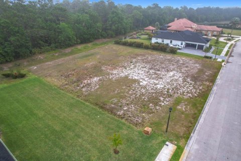 Land in Lakeland, Florida № 1593151 - photo 3