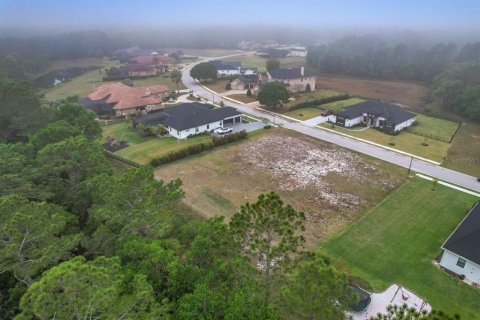 Land in Lakeland, Florida № 1593151 - photo 14