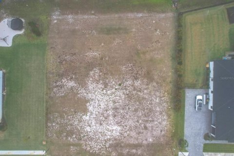 Land in Lakeland, Florida № 1593151 - photo 12