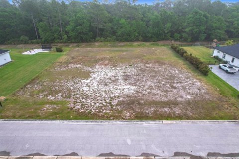 Land in Lakeland, Florida № 1593151 - photo 4