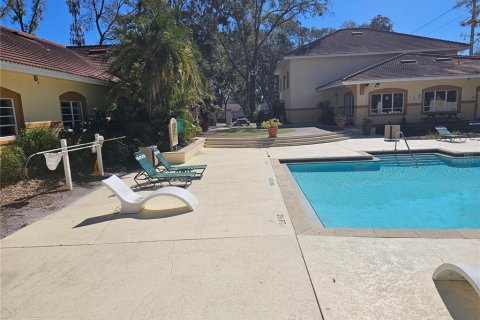 Condo in Tampa, Florida, 1 bedroom  № 2231598 - photo 15
