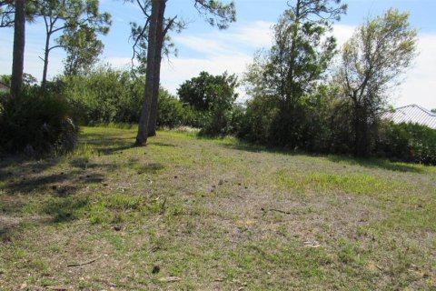 Terrain à Punta Gorda, Floride № 2330873