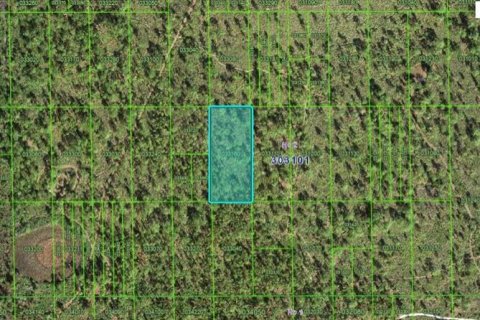 Terreno en Lake Wales, Florida № 2202823