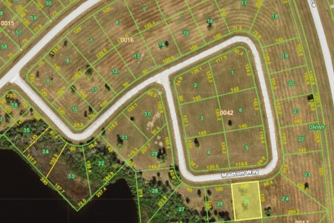 Land in Placida, Florida № 2163233 - photo 2