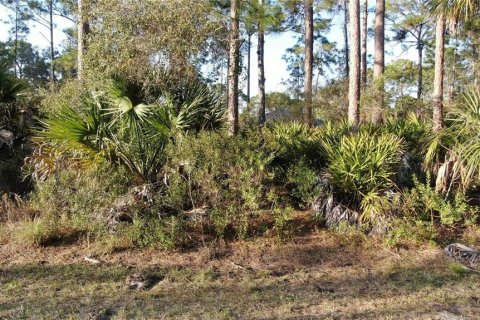 Land in North Port, Florida № 2164153
