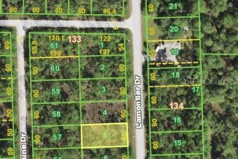 Land in Punta Gorda, Florida № 2162807