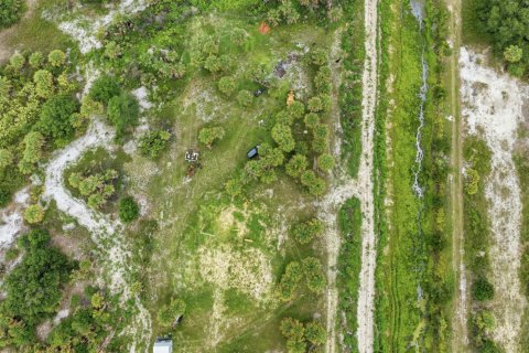 Commercial property in Okeechobee, Florida № 2181223 - photo 3
