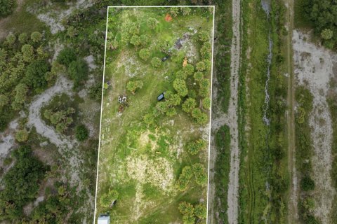 Commercial property in Okeechobee, Florida № 2181223 - photo 2