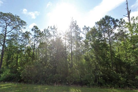 Land in Palatka, Florida № 2162371