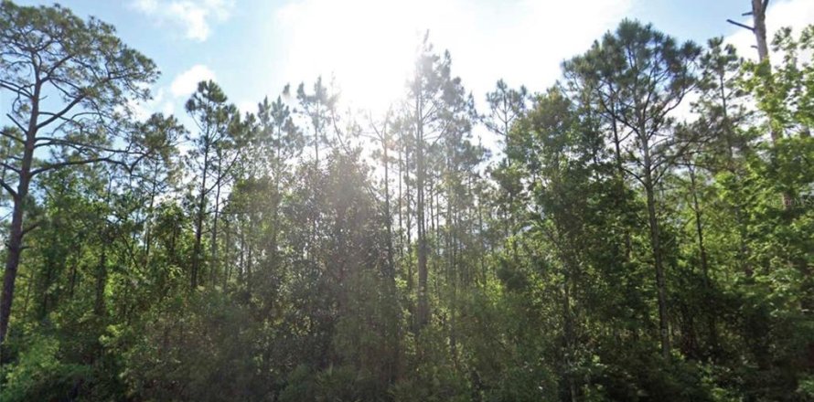Land in Palatka, Florida № 2162371