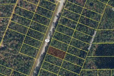 Land in Palatka, Florida № 2162371 - photo 2