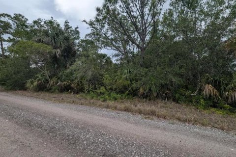 Terrain à vendre à Punta Gorda, Floride № 1624538 - photo 2