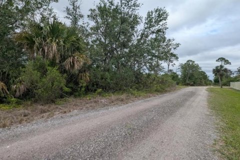 Terrain à vendre à Punta Gorda, Floride № 1624538 - photo 3