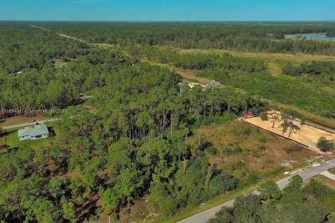 Terreno en Lehigh Acres, Florida № 2164299