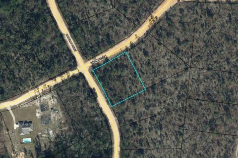 Land in Alford, Florida № 2160266