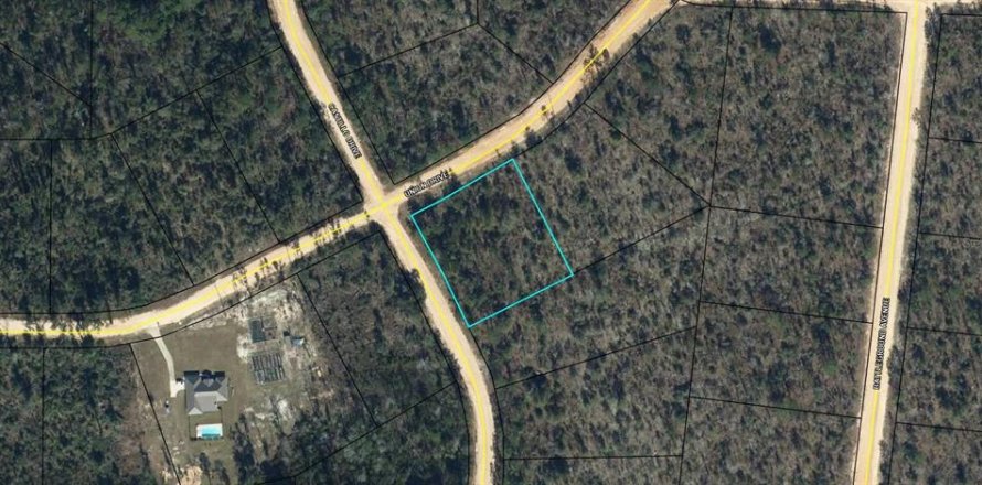 Land in Alford, Florida № 2160266