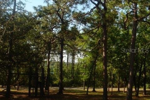 Land in Alford, Florida № 2160266 - photo 8