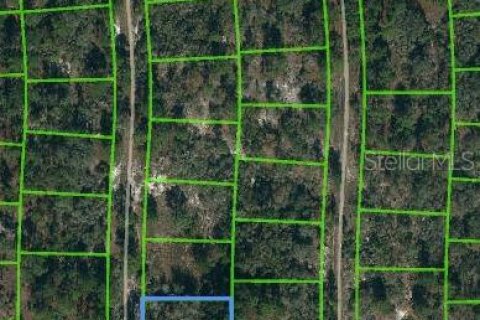 Land in Lake Placid, Florida № 2223968