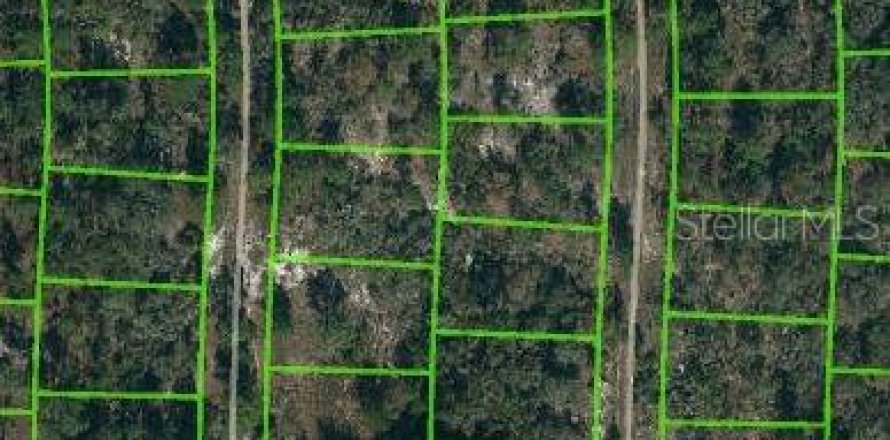 Land in Lake Placid, Florida № 2223968