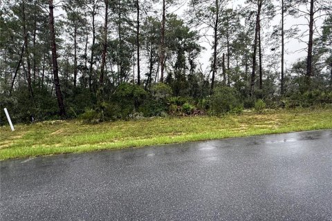 Land in Ocala, Florida № 2345666