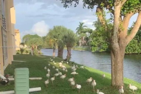 Condo in Sunrise, Florida, 2 bedrooms  № 2050013 - photo 5