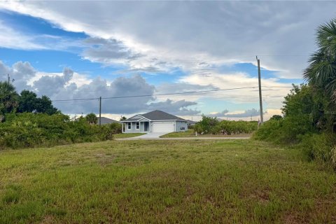 Land in Rotonda, Florida № 2195180 - photo 5