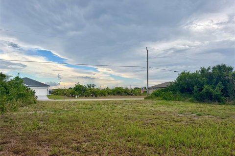 Land in Rotonda, Florida № 2195180 - photo 4