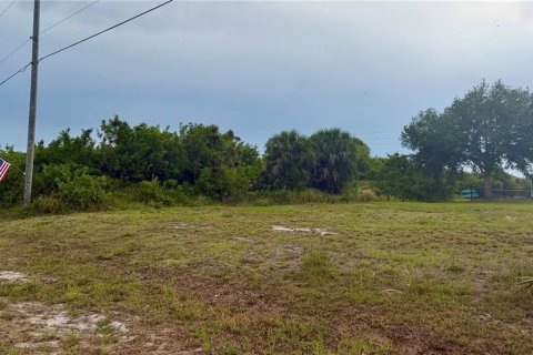 Land in Rotonda, Florida № 2195180 - photo 3