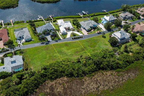 Land in Port Charlotte, Florida № 1798535 - photo 11