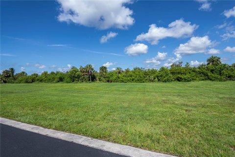 Land in Port Charlotte, Florida № 1798535 - photo 6