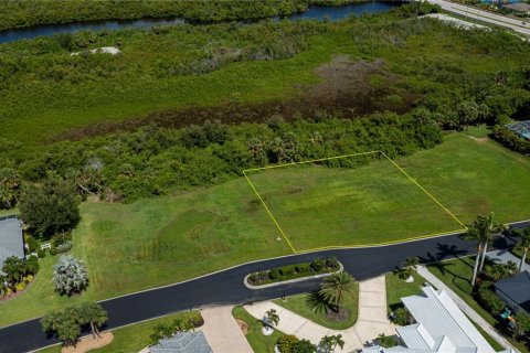 Land in Port Charlotte, Florida № 1798535 - photo 10