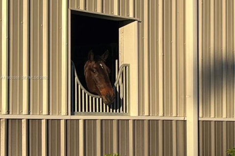 House in Loxahatchee Groves, Florida № 2005876 - photo 21