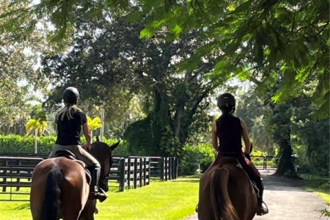 House in Loxahatchee Groves, Florida № 2005876 - photo 24
