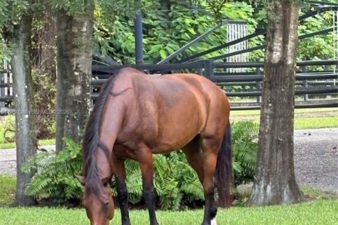 House in Loxahatchee Groves, Florida № 2005876 - photo 25