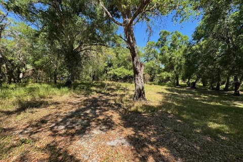 Terreno en venta en Arcadia, Florida № 1580263 - foto 1
