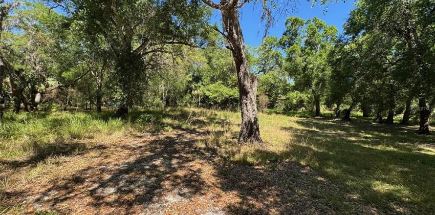 Terreno en Arcadia, Florida № 1580263