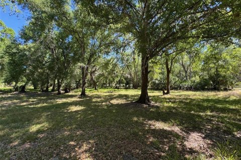 Terreno en venta en Arcadia, Florida № 1580263 - foto 2